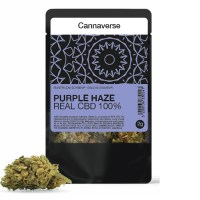 cannaverse-purplehaze-2g